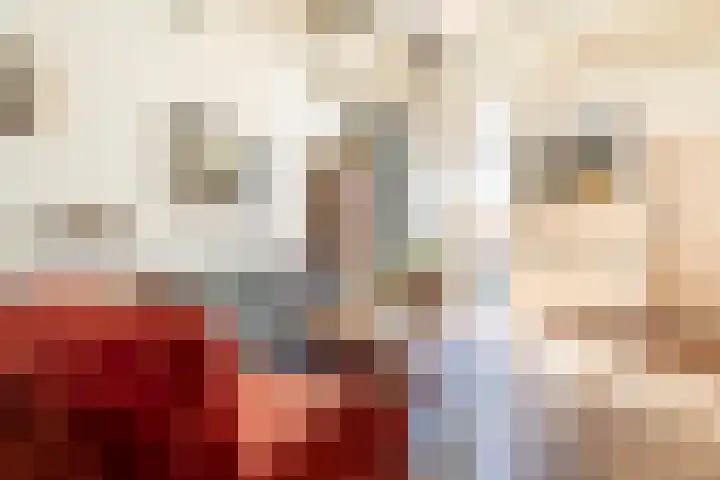 Nieuw Heiligland 8 Haarlem thumbnail 14