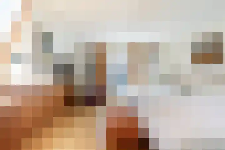 Nieuw Heiligland 8 Haarlem thumbnail 22