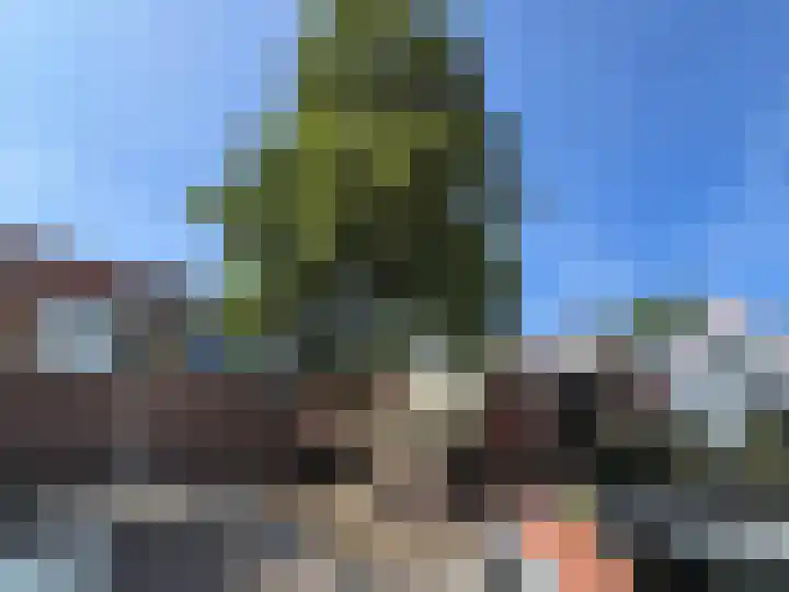 Nieuw Heiligland 8 Haarlem thumbnail 23