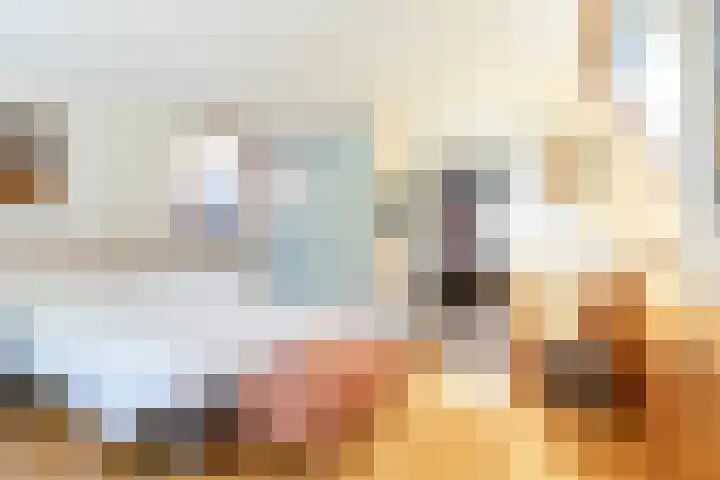 Nieuw Heiligland 8 Haarlem thumbnail 24