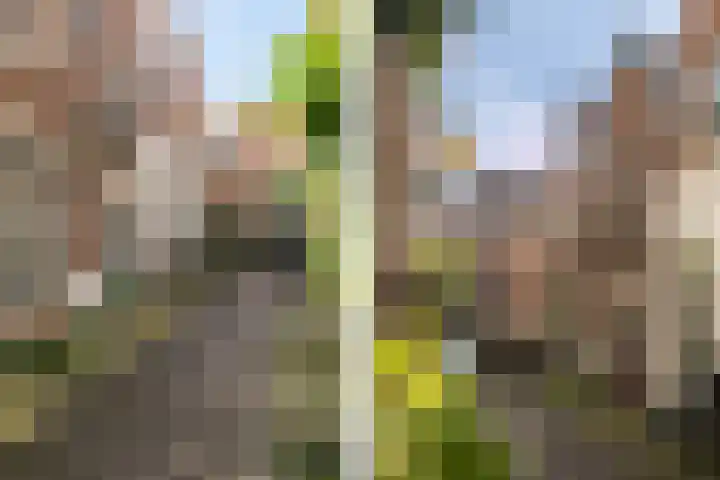 Nieuw Heiligland 8 Haarlem thumbnail 25