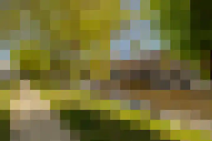 Nieuw Heiligland 8 Haarlem thumbnail 32