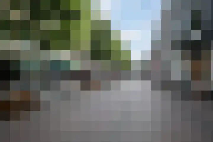 Nieuw Heiligland 8 Haarlem thumbnail 34