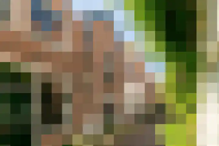 Nieuw Heiligland 8 Haarlem thumbnail 42