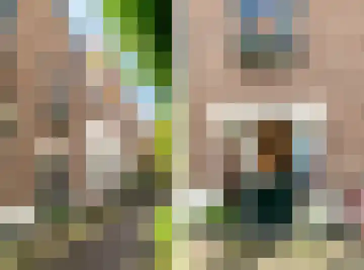 Nieuw Heiligland 8 Haarlem thumbnail 5