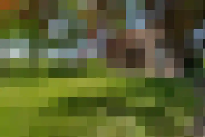 Nieuw Hofweg 1 Terschuur thumbnail 16