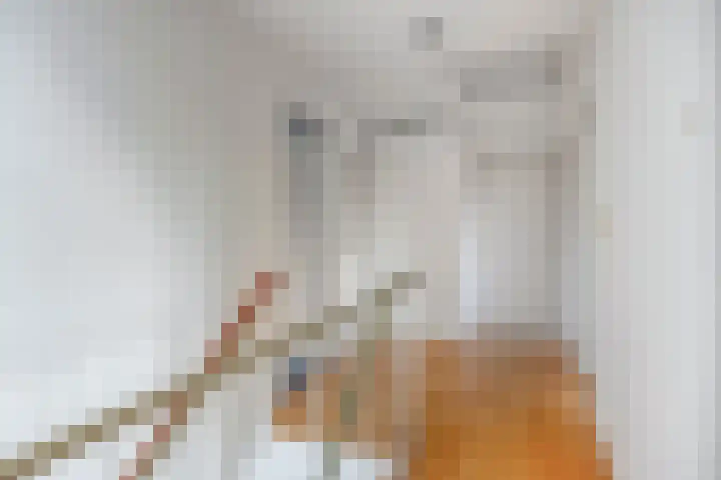 Nieuw Holsterweg 15 Posterholt thumbnail 31
