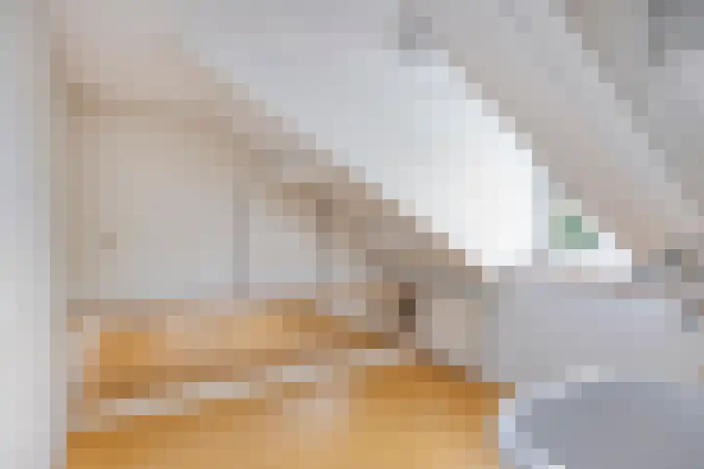 Nieuw Holsterweg 15 Posterholt thumbnail 32