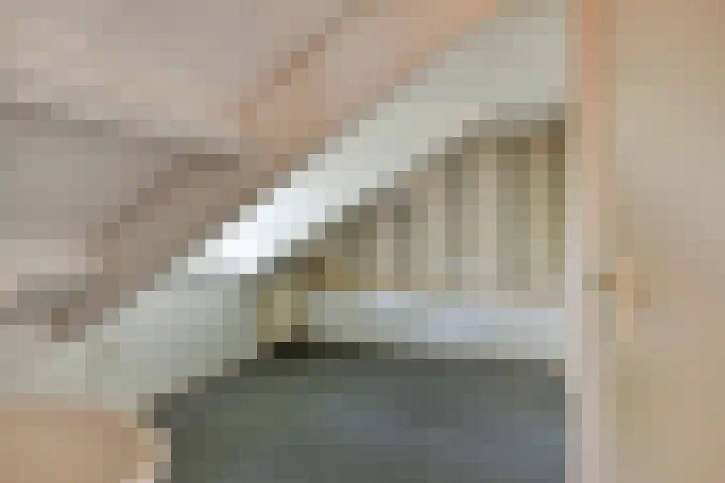 Nieuw Holsterweg 15 Posterholt thumbnail 33