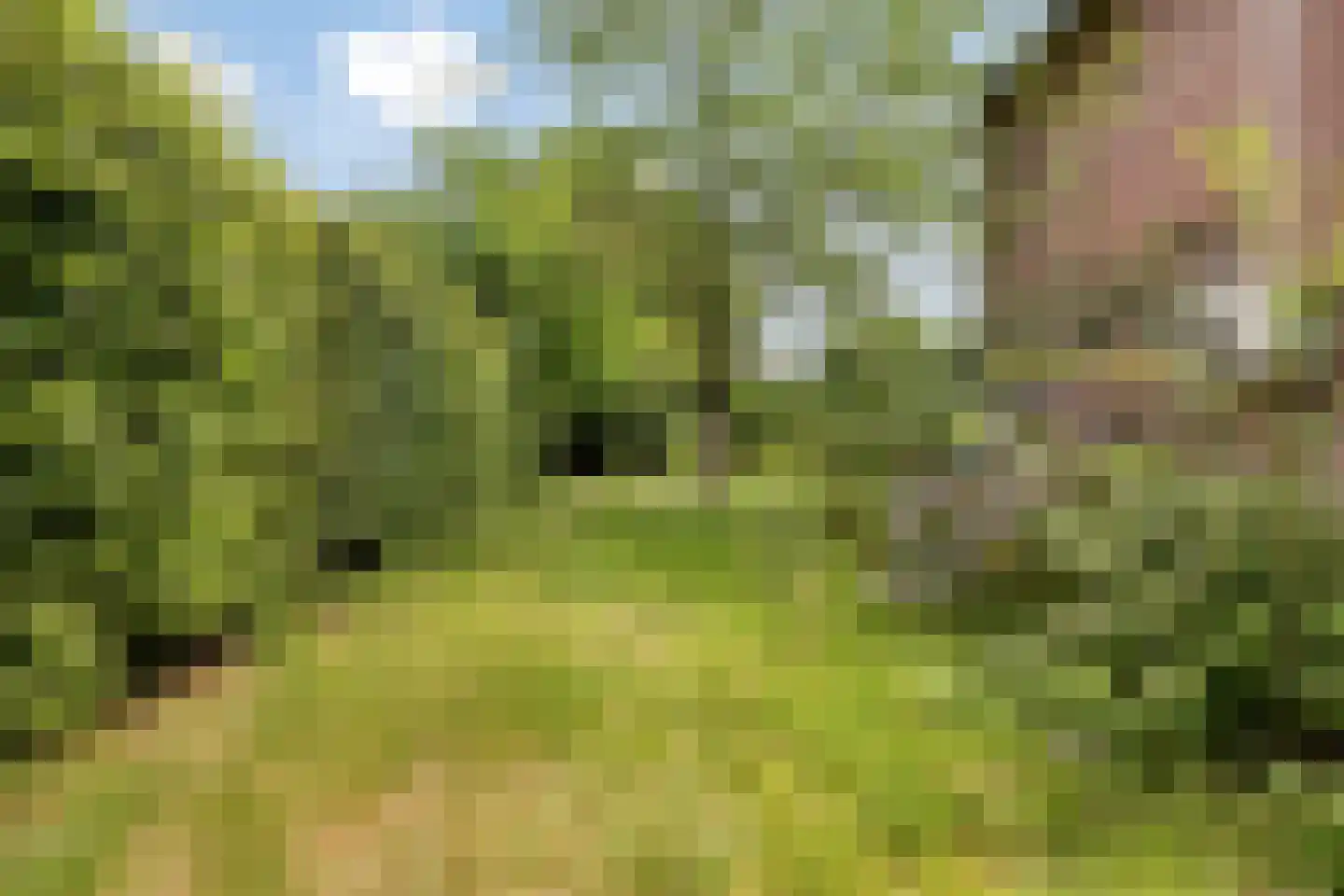 Nieuw Holsterweg 15 Posterholt thumbnail 37