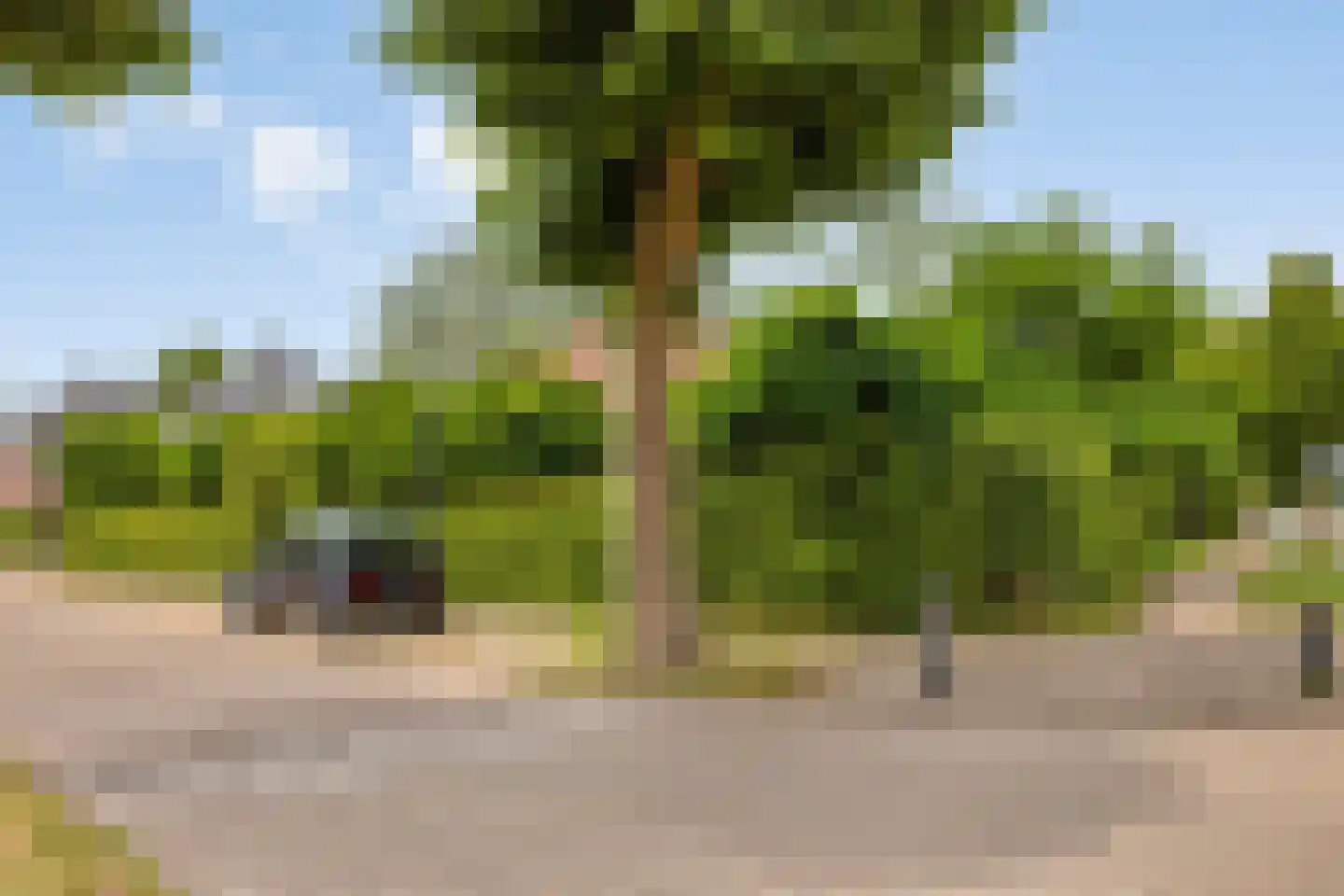 Nieuw Holsterweg 15 Posterholt thumbnail 38