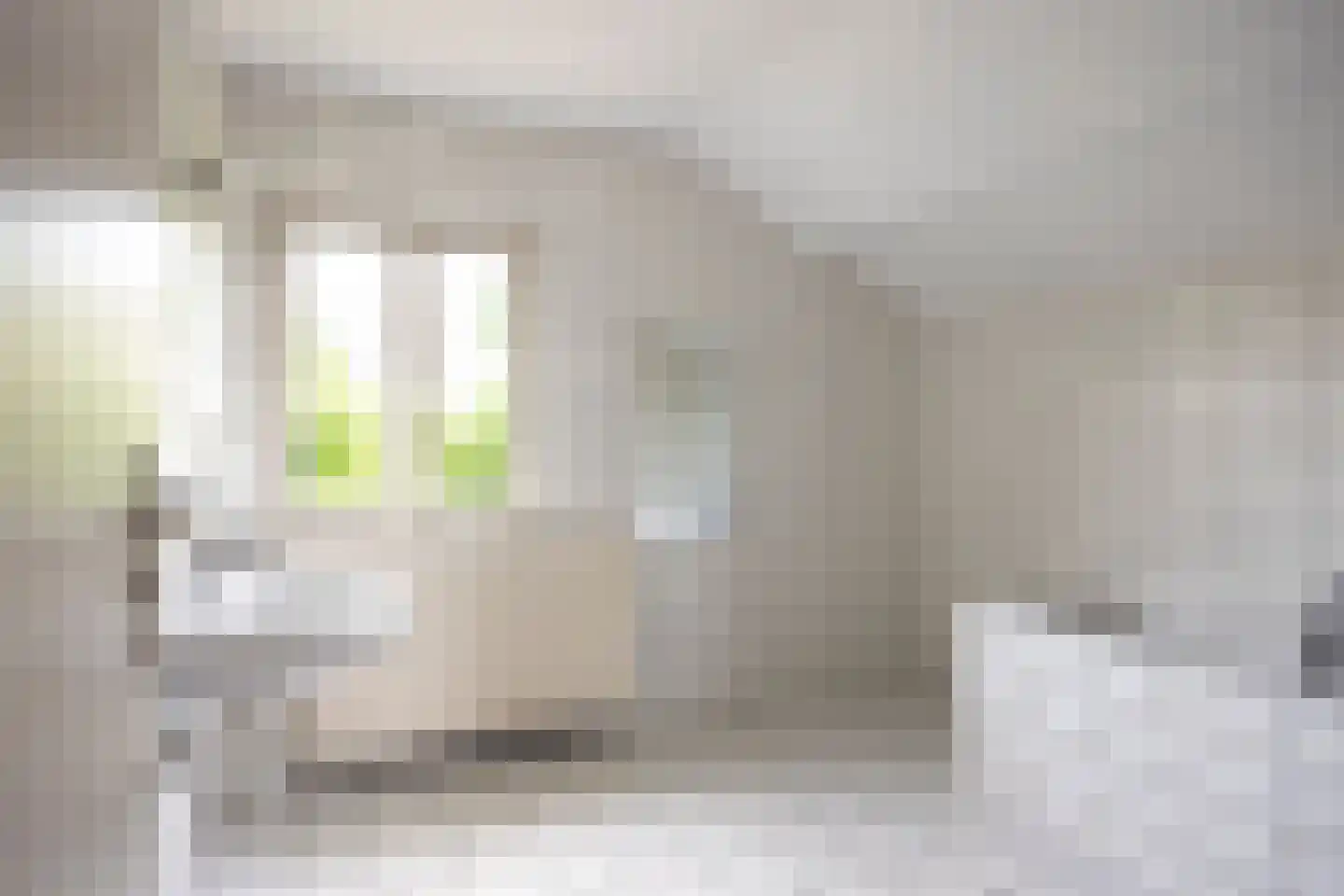 Nieuw Holsterweg 15 Posterholt thumbnail 4