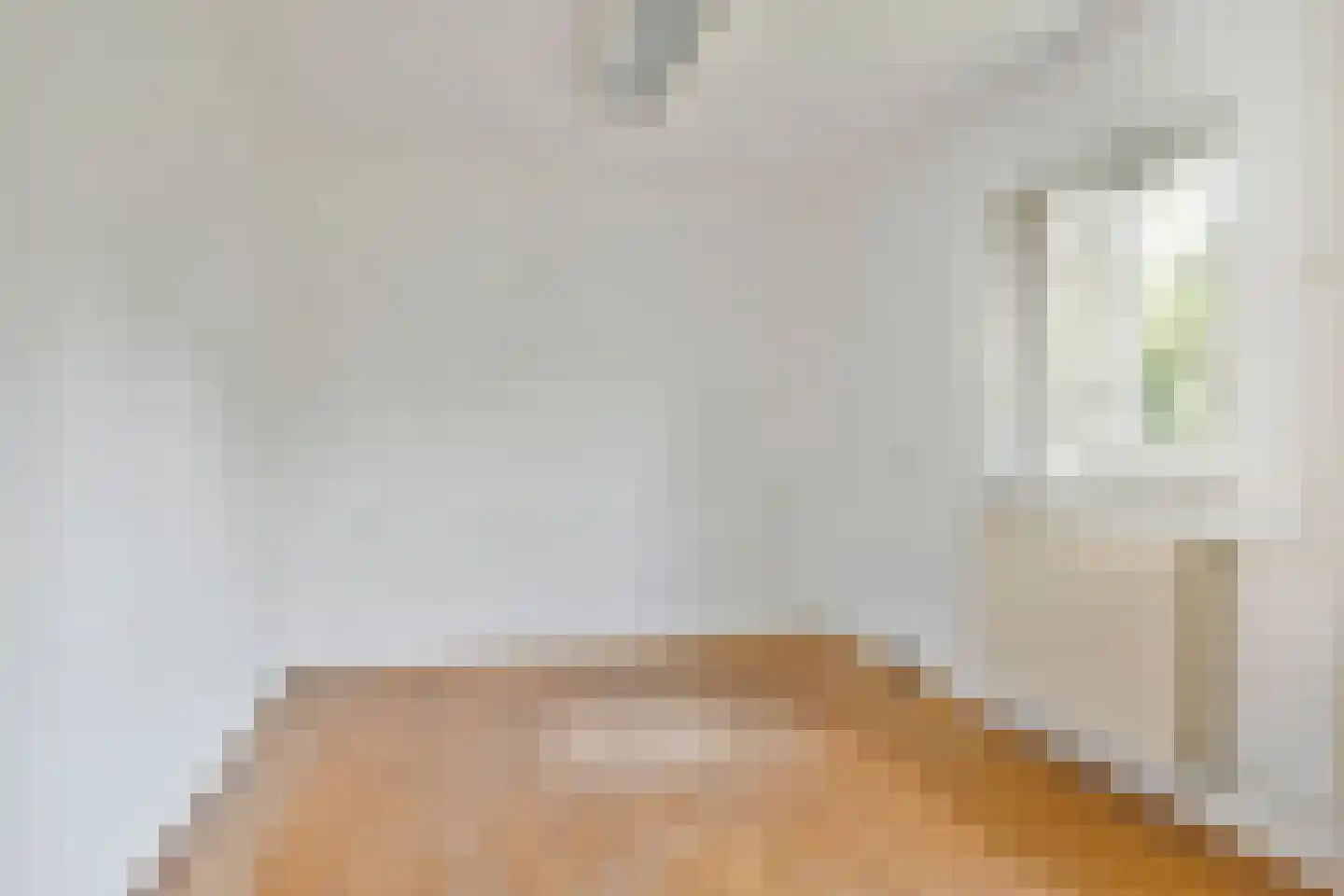 Nieuw Holsterweg 15 Posterholt thumbnail 5