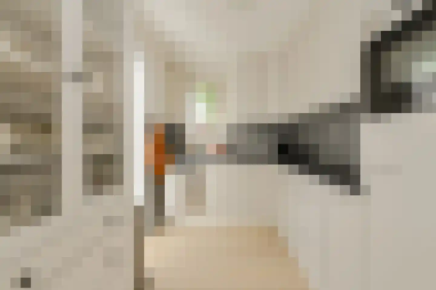 Nieuw Krijtenburg 3 Breda thumbnail 17