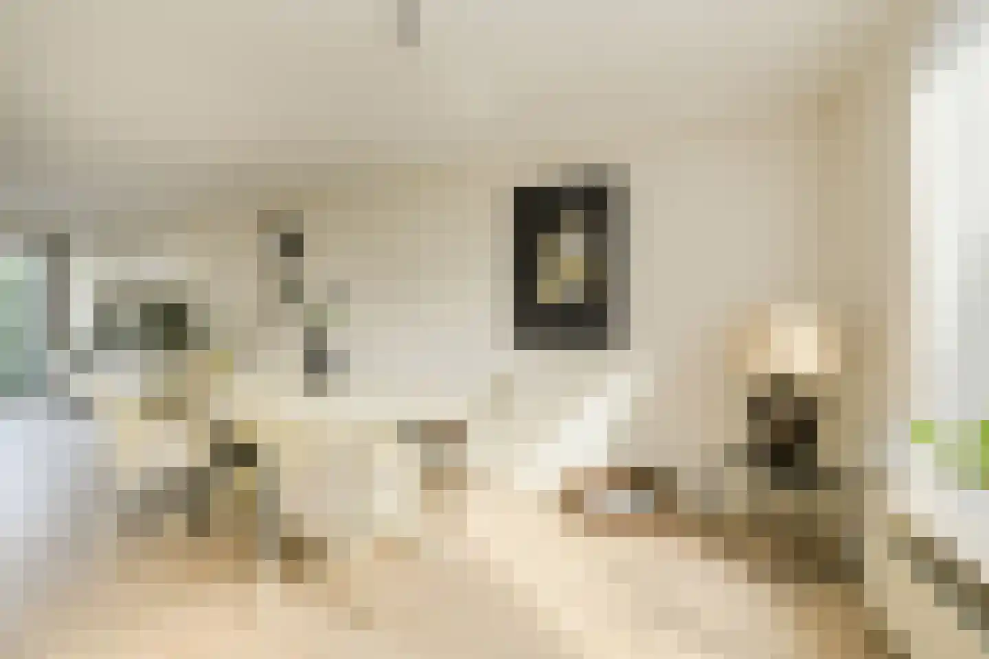 Nieuw Krijtenburg 3 Breda thumbnail 19