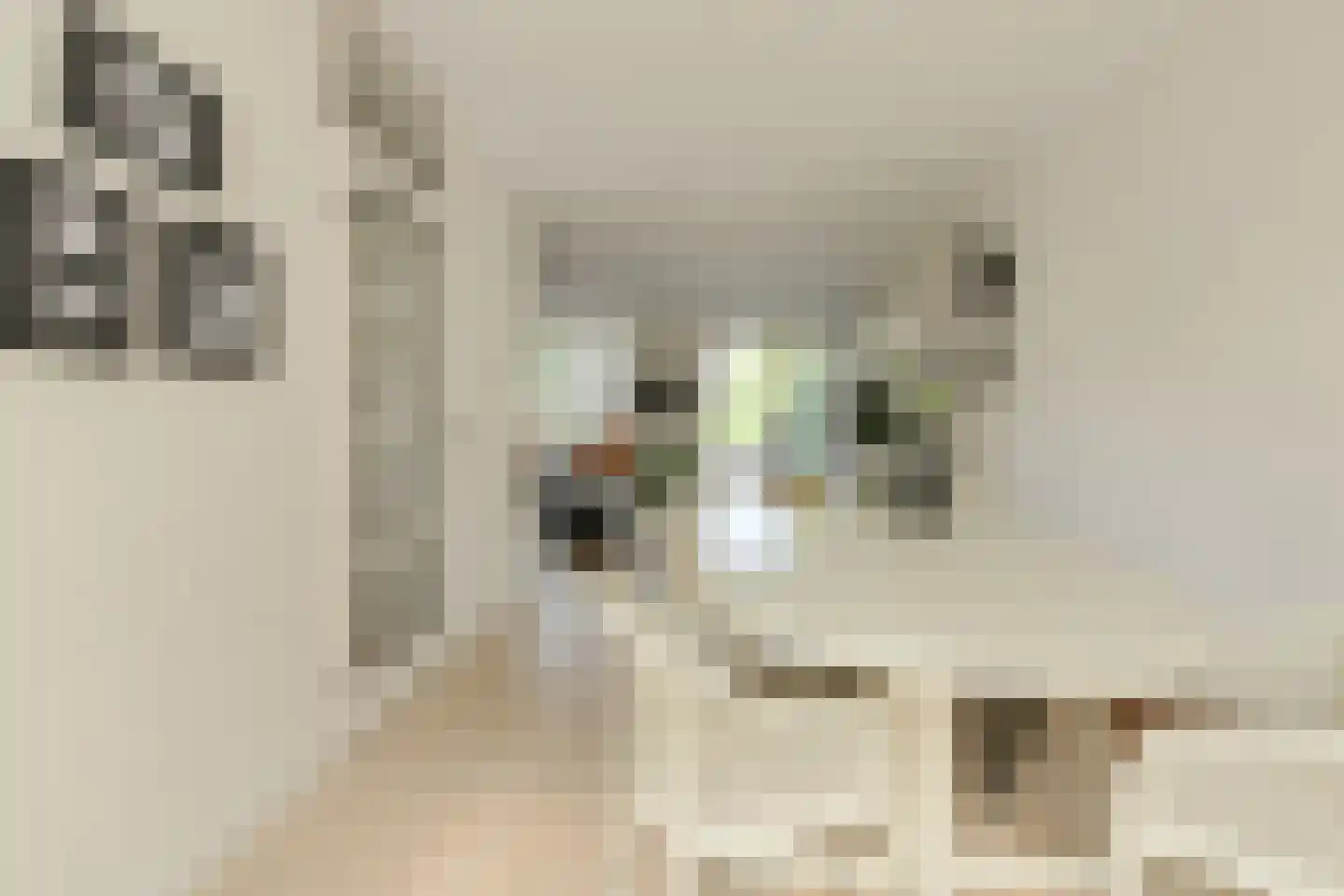 Nieuw Krijtenburg 3 Breda thumbnail 20