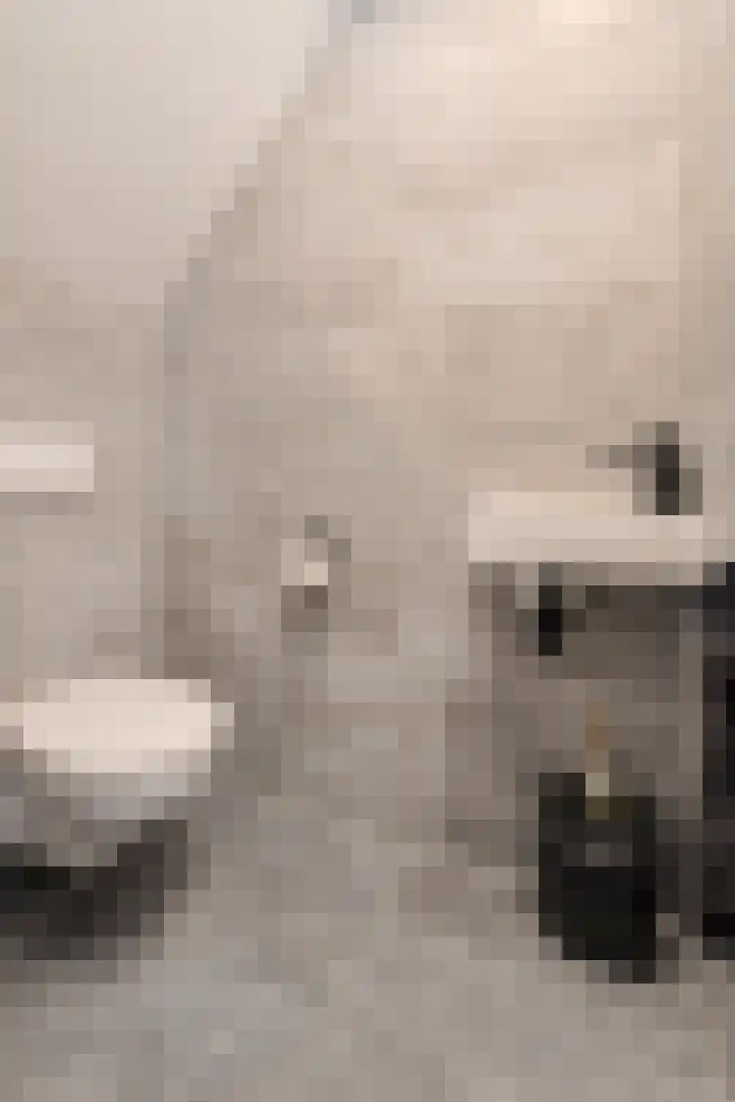 Nieuw Krijtenburg 3 Breda thumbnail 22