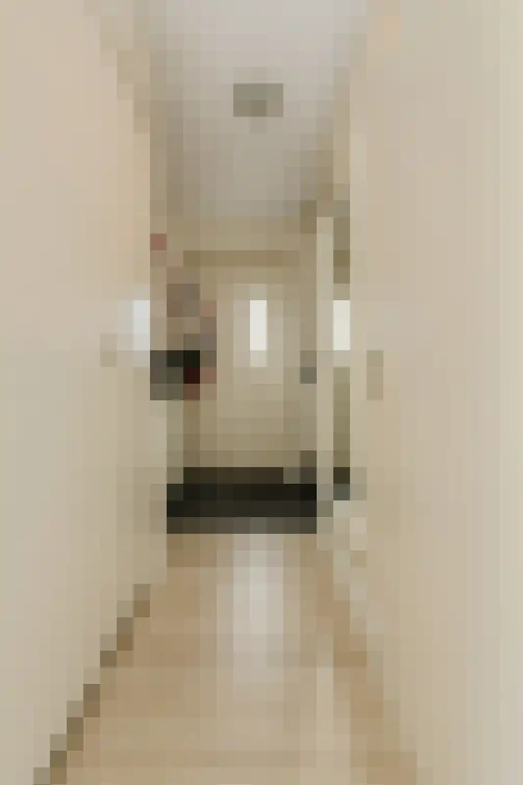 Nieuw Krijtenburg 3 Breda thumbnail 23