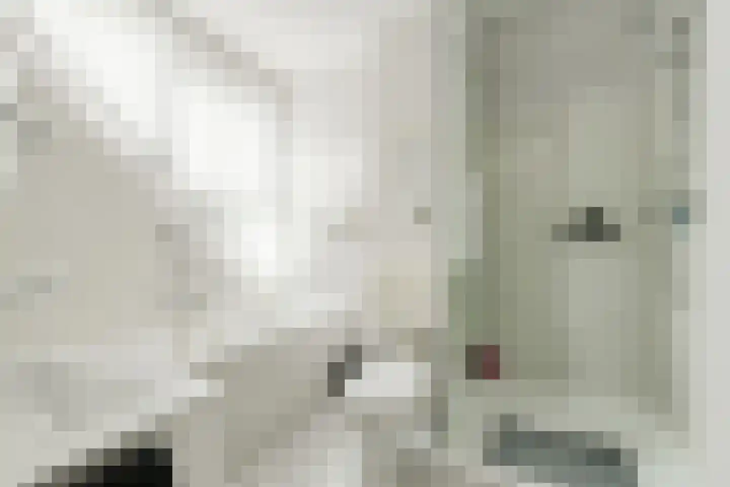 Nieuw Krijtenburg 3 Breda thumbnail 27