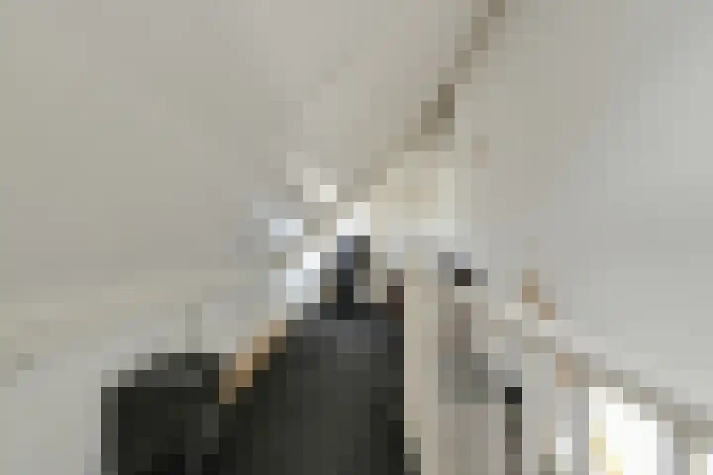 Nieuw Krijtenburg 3 Breda thumbnail 35