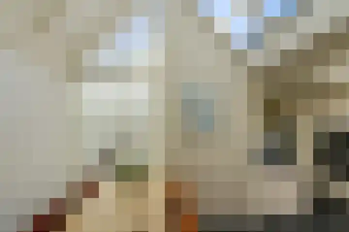 Nieuw Krijtenburg 9 Breda thumbnail 17