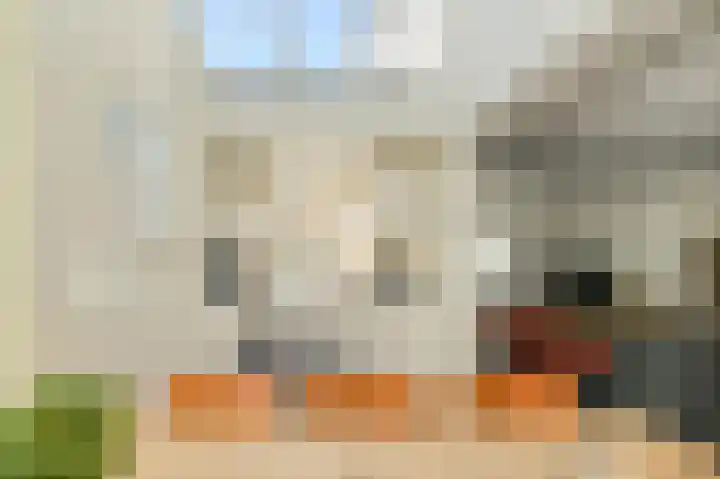 Nieuw Krijtenburg 9 Breda thumbnail 18