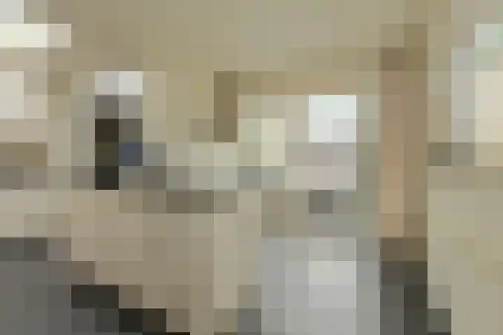 Nieuw Krijtenburg 9 Breda thumbnail 22
