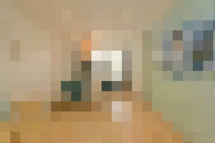 Nieuw Krijtenburg 9 Breda thumbnail 26