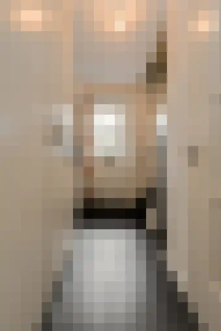 Nieuw Krijtenburg 9 Breda thumbnail 28