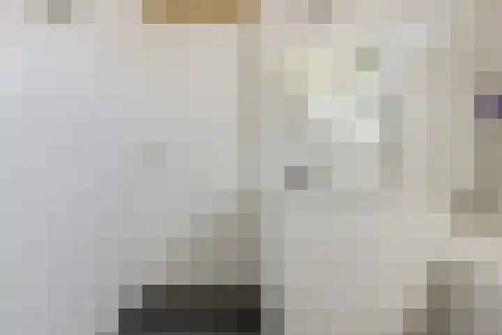 Nieuw Krijtenburg 9 Breda thumbnail 36