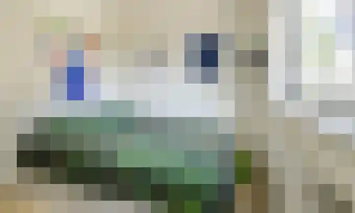 Nieuw Krijtenburg 9 Breda thumbnail 38
