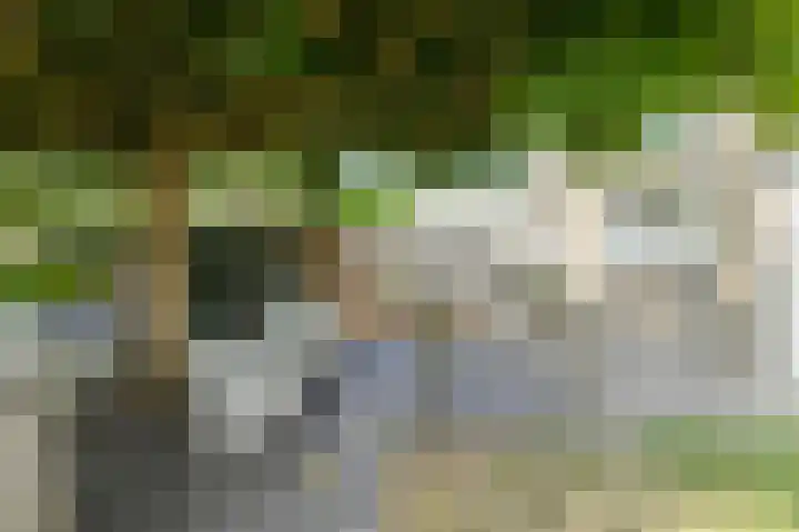 Nieuw Krijtenburg 9 Breda thumbnail 47