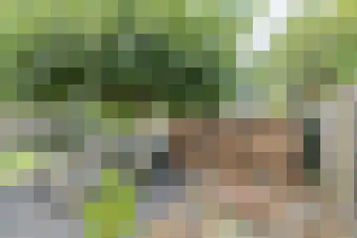 Nieuw Krijtenburg 9 Breda thumbnail 48