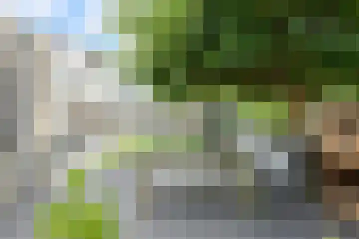 Nieuw Krijtenburg 9 Breda thumbnail 49