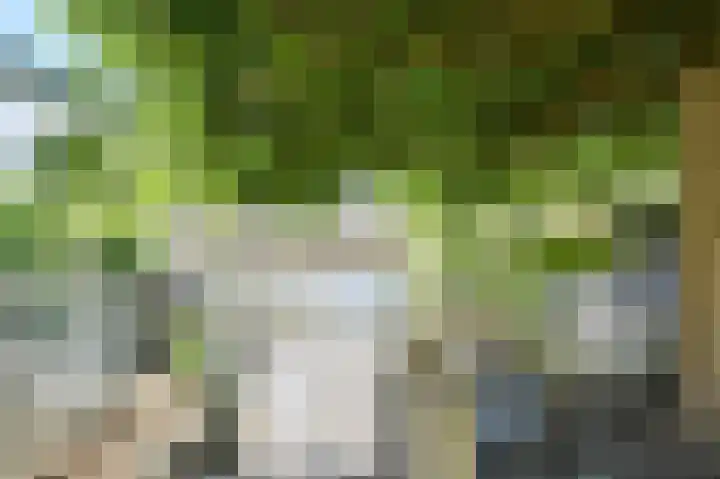 Nieuw Krijtenburg 9 Breda thumbnail 51