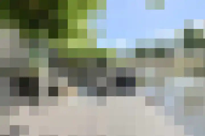 Nieuw Krijtenburg 9 Breda thumbnail 52