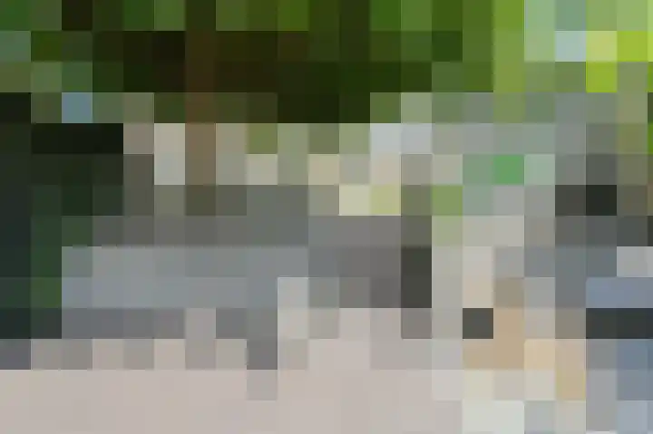 Nieuw Krijtenburg 9 Breda thumbnail 54