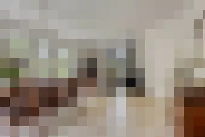 Nieuw Laar 28 Berlicum thumbnail 10