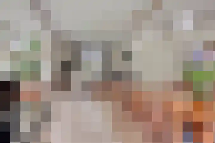 Nieuw Laar 28 Berlicum thumbnail 11