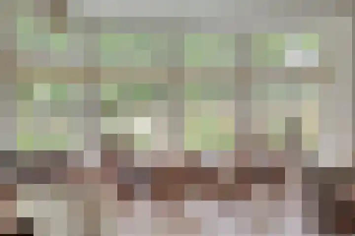 Nieuw Laar 28 Berlicum thumbnail 13