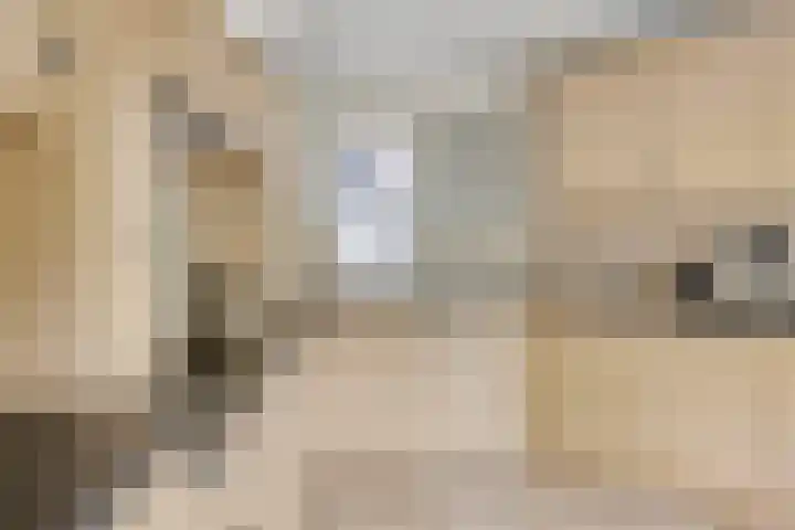 Nieuw Laar 28 Berlicum thumbnail 15