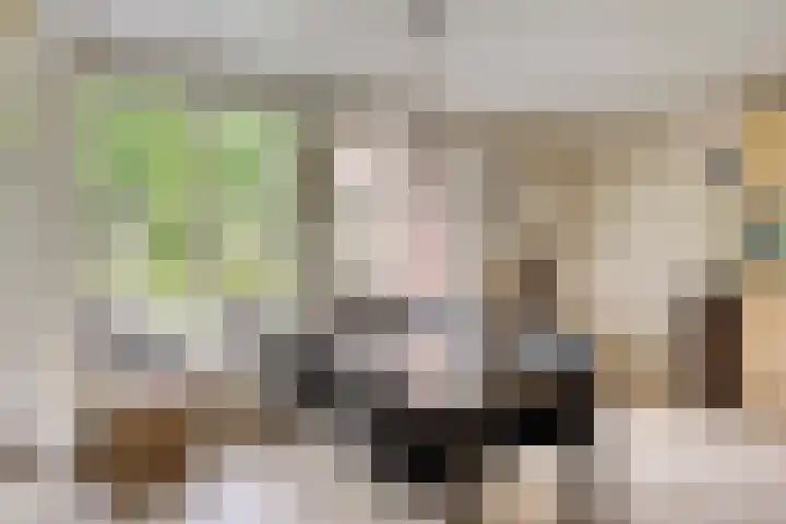 Nieuw Laar 28 Berlicum thumbnail 16