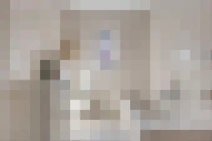Nieuw Laar 28 Berlicum thumbnail 19