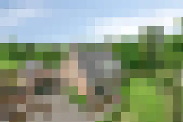 Nieuw Laar 28 Berlicum foto 2