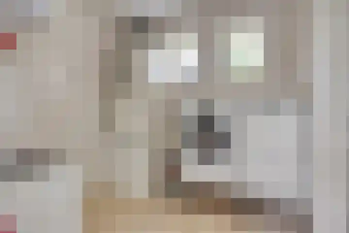 Nieuw Laar 28 Berlicum thumbnail 24