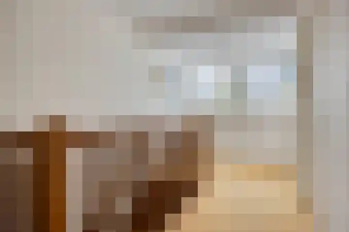 Nieuw Laar 28 Berlicum thumbnail 26