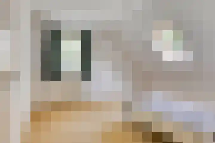 Nieuw Laar 28 Berlicum thumbnail 27