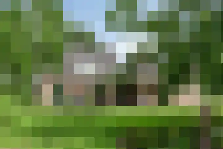 Nieuw Laar 28 Berlicum foto 3