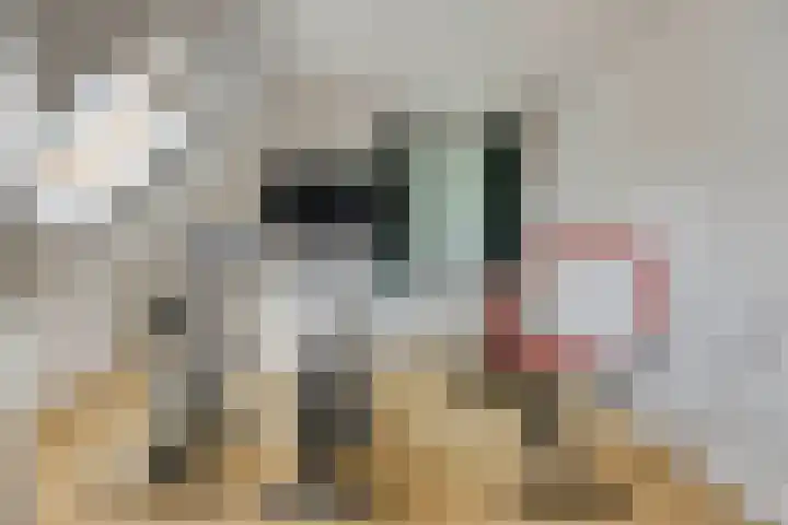 Nieuw Laar 28 Berlicum thumbnail 30