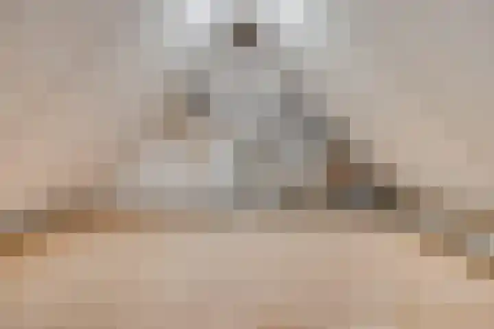 Nieuw Laar 28 Berlicum thumbnail 34